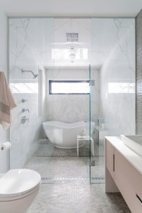 Custom bathroom with shower room